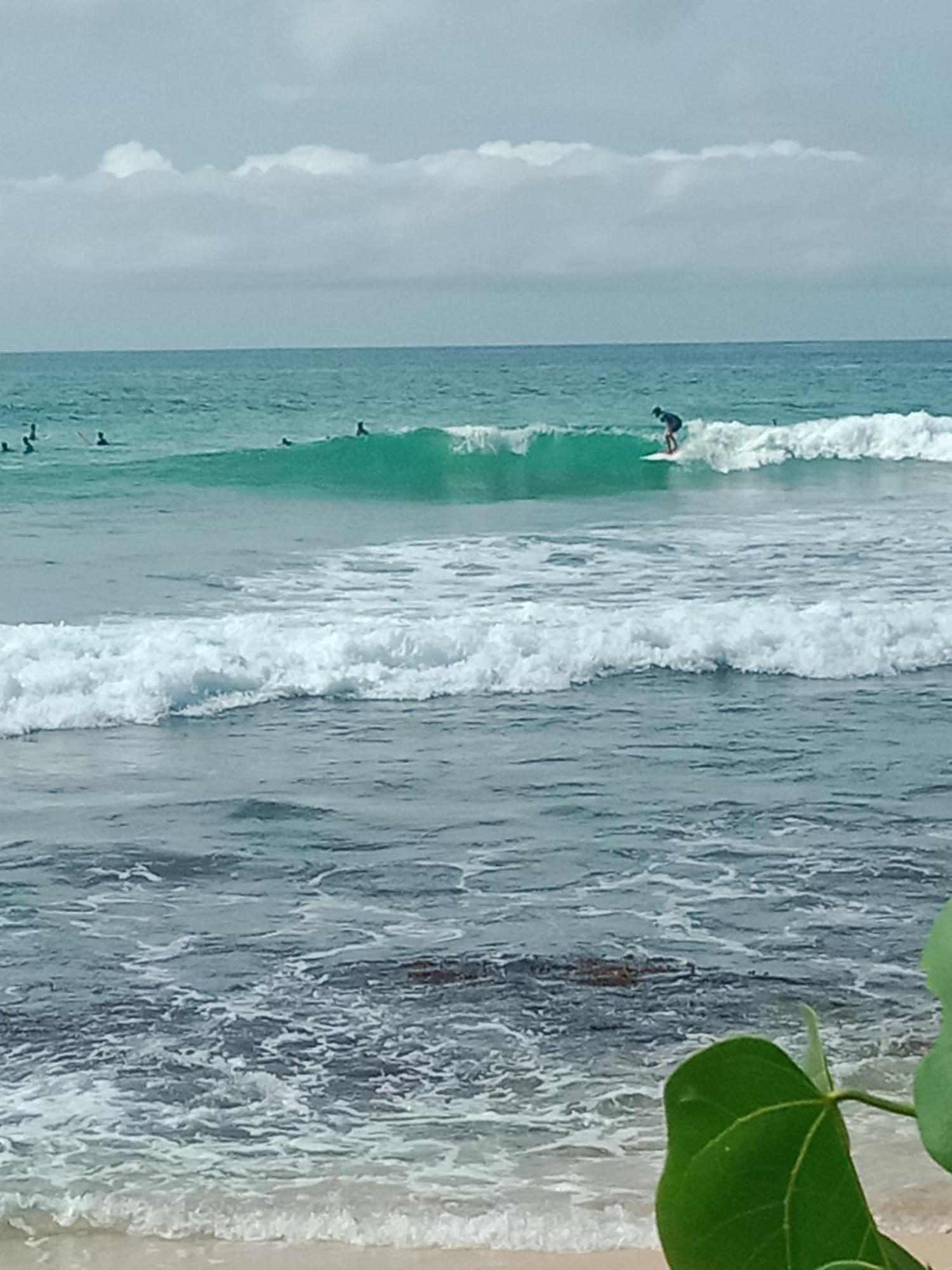 Sandaru Surffing Inn Велигама Экстерьер фото
