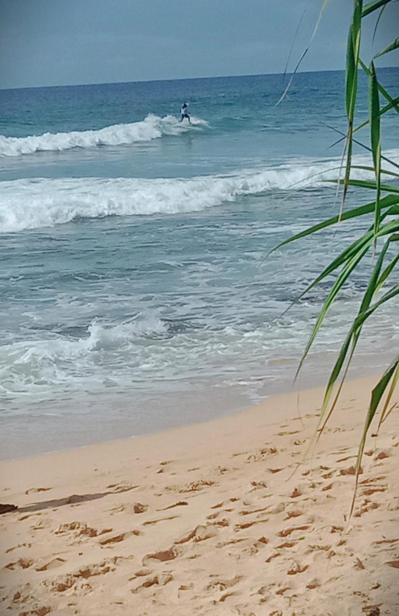 Sandaru Surffing Inn Велигама Экстерьер фото